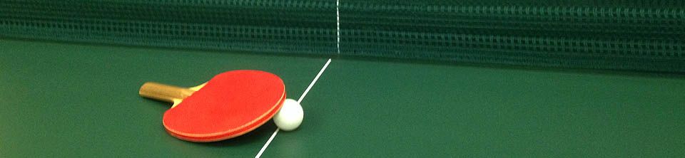 Tables de ping pong intérieur