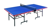 Ace 5 ping pong table