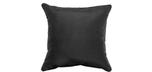 Outdoor Black 18x18in square accent throw pillow
