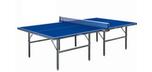 ACE 2 sturdy durable ping pong table tennis