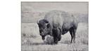Large 48 x 36 inch Buffalo North Range painted print canvas